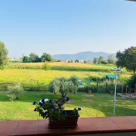 Green Garden Lucca